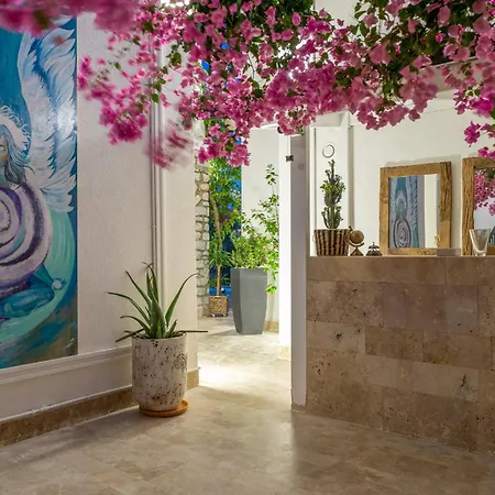 Noa Only Adult Bodrum