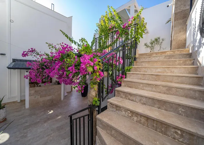 Hotel apartamentowy Noa Only Adult 5*
