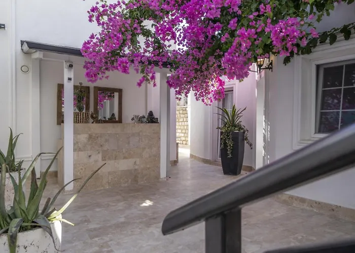 Hotel apartamentowy Noa Only Adult Bodrum