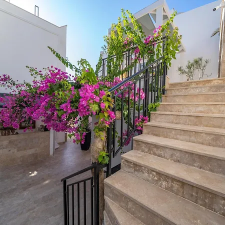 Apart Otel Noa Only Adult 5*