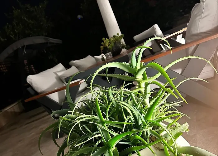 Apartahotel Noa Only Adult 5*