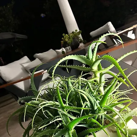 Lägenhetshotell Noa Only Adult 5*